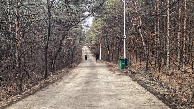 小怜聊情感：我发现一个奇怪的现象，比如这