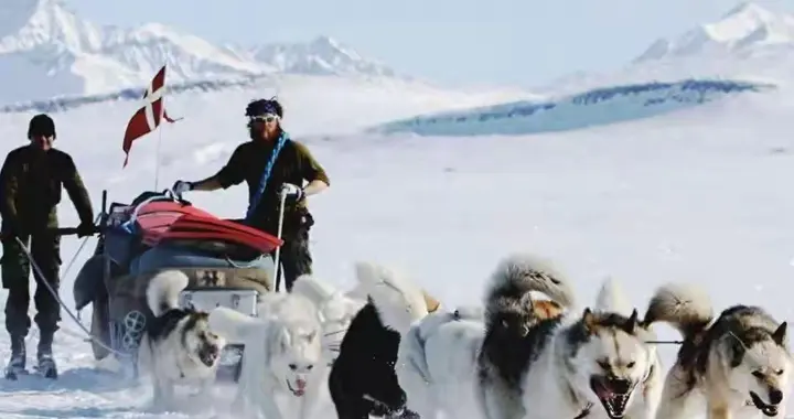 北约第五条成“废纸”？美国硬抢格陵兰，丹麦的盟友们会出手吗？