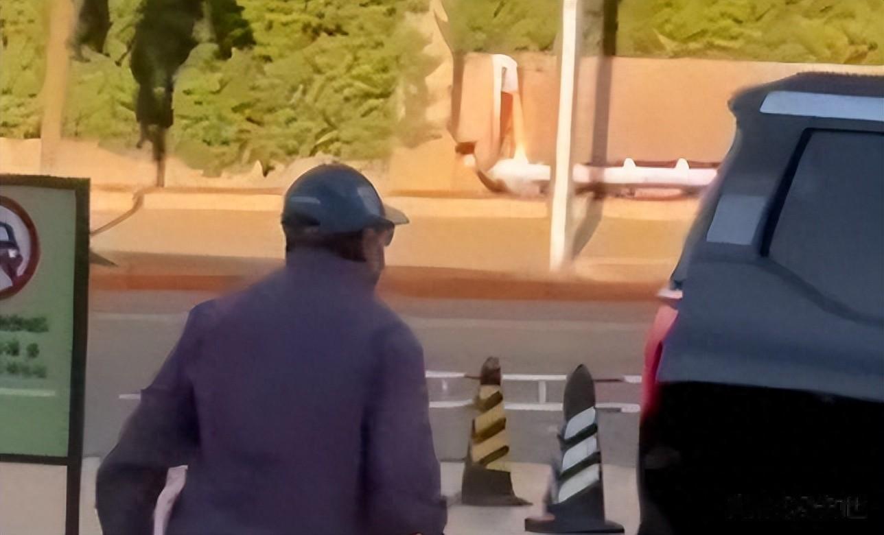 成名曲全靠白嫖？央视表态后，韩红现身被嘲，混血被扒曾拒绝哈佛