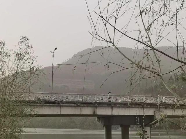 内蒙古立大功了！10亿大工程将黄河水引入沙漠后，让沙漠变绿洲