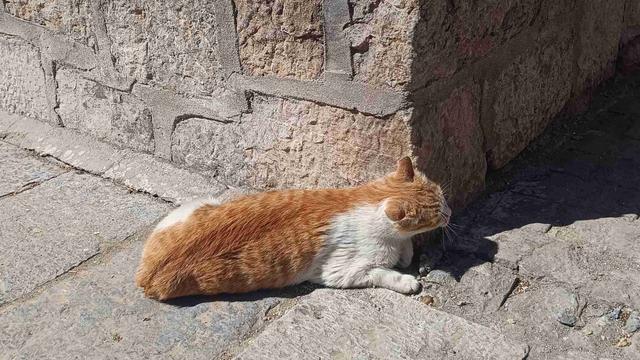 只缘身在此山中：我