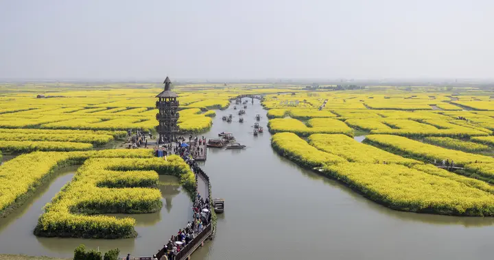 水上油菜花海——兴化千垛景区