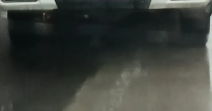 武汉养狗新规要来，谁最紧张？细节曝光，千万别只盯着罚款