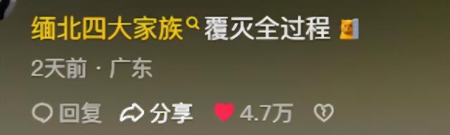 为什么中国撤侨时武装分子不敢动手？看完分享我茅塞顿开，爽文啊