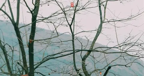 爸爸，我不怕鬼了