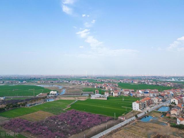 适合长江中下游平原的蔬菜混搭种植组合：播种希望,收获四季