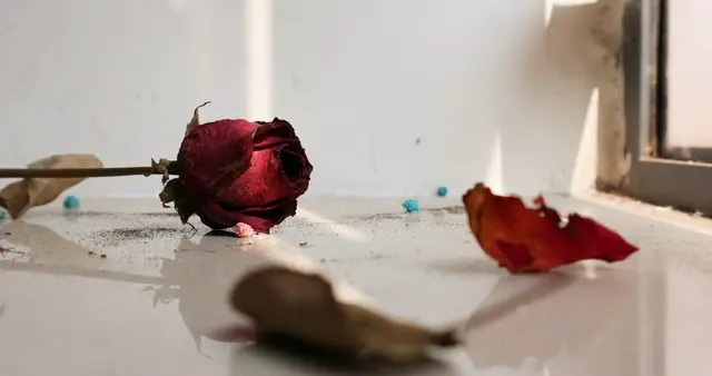 男人喜欢做这2件事时，女人千万别陷入太深