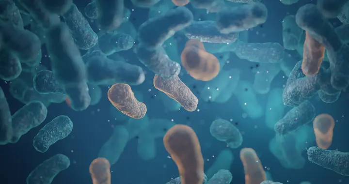 「粪便」立大功? 给免疫治疗「增效减毒」, 让晚期肺癌ORR直接翻倍!