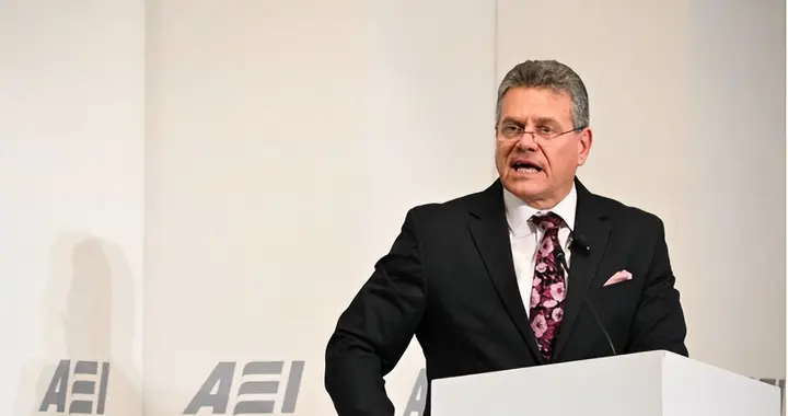 欧盟争取到了，称中方同意给稀土开小灶，欧洲顿时“天亮了”