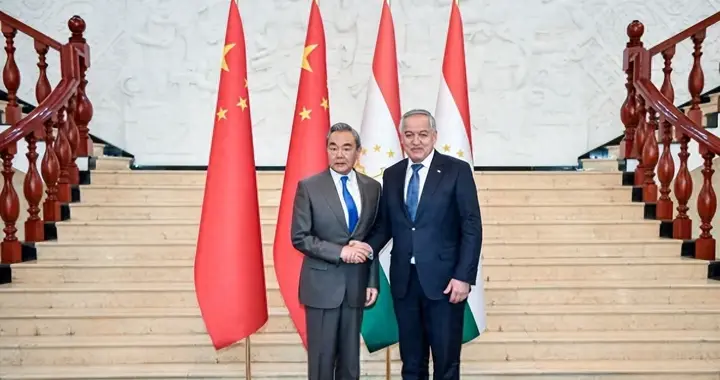 中塔谈合作，日右翼搅局，联合声明藏玄机，王毅，决不允许