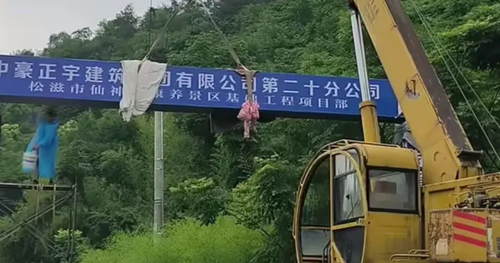 15亿国资赋能！荆州老牌景区有望迎来涅槃重生，填补华中空白！