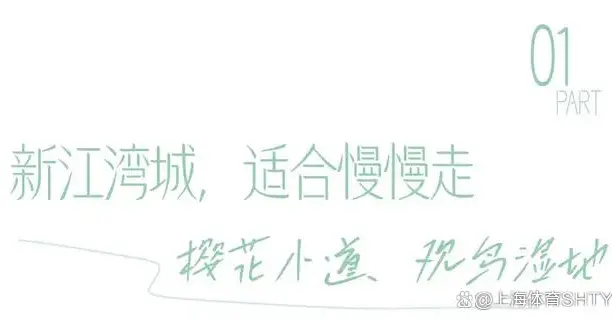 出片率100%！盘点上海那些“开往春天”的绝美步道