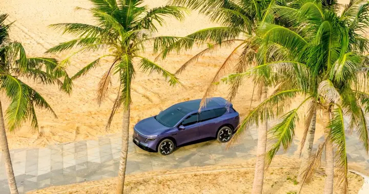 东风日产NX8：20 - 25万区间能否成为家用SUV“理想平替”？