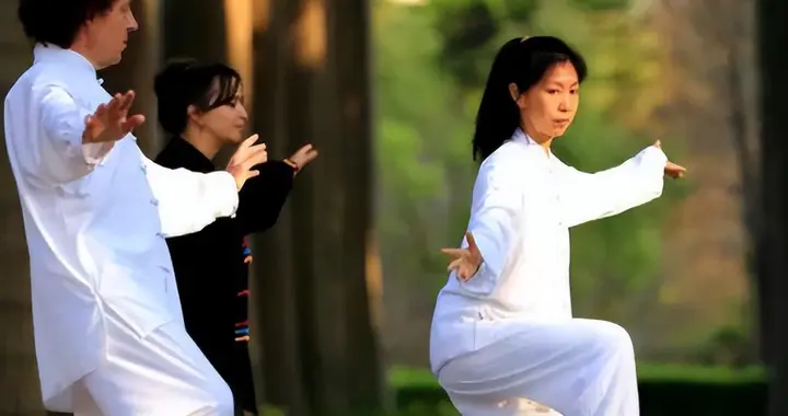 提膝如猫戏，小腿自下垂：两个太极技巧教你膝盖“领路”的巧劲