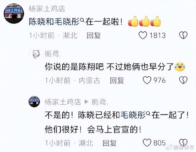 CP感溢出了屏幕，陈晓离婚是为了毛晓彤？两人四度搭档默契感超高