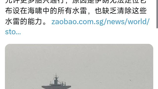 金桔：联合早报网引用美国官员的话，为什么