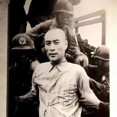 生如夏花般绚烂：说实在的话，不尽早收复台