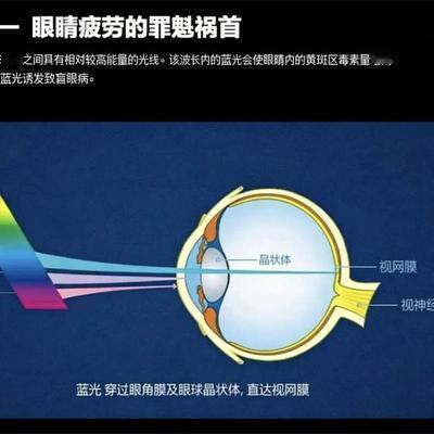 Lynn~_~石头：高分封神！SQD不止