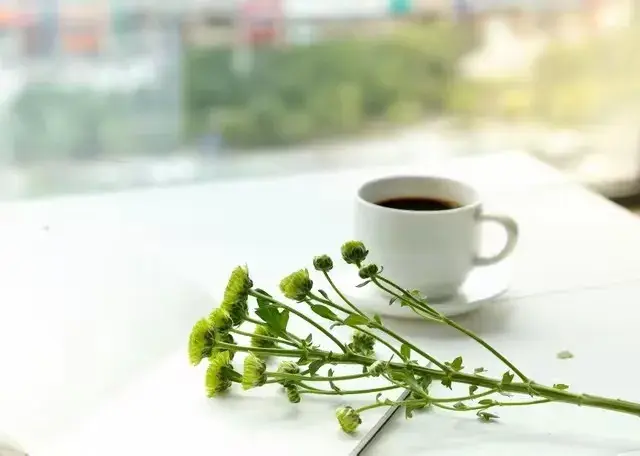 暗流定律：破解人生跃迁的隐性密码