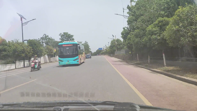 往返近百里，团聚串串有道理🌞🚗🌳