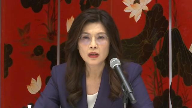 邻家文先生：国民党反击陆委会：尸位素餐