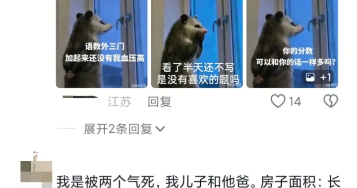 江浙沪父母陪娃有多拼？网友：三科加起来都没我血压高？