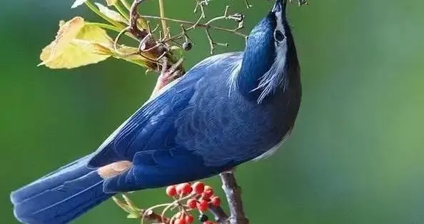 北大一医院2025年医疗新技术