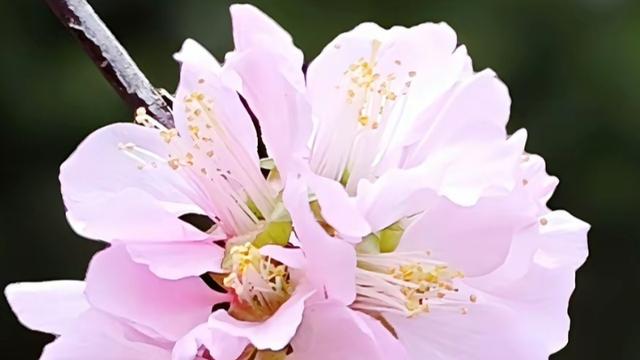 11尔尔散散：有一个人建了一个282人的