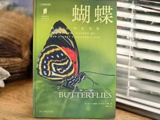 《蝴蝶》：暑假带娃走进“蝴蝶海洋”，探寻知识的奥秘