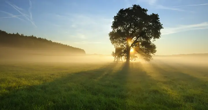 具备这些核心特质，天生适合做领导