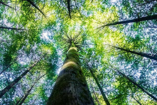 你能否留下一句充满希望的话