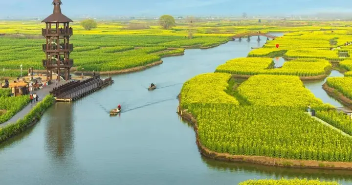 江苏低调小城！美景不输婺源，坐拥全球四大花海之一，少有人知
