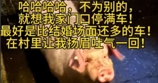 重庆妹子一句土味“按猪”求助，换来200万围观！合川文旅赢麻了