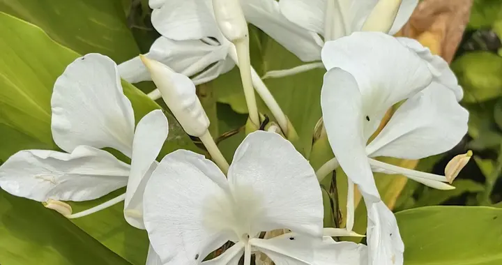 婆媳关系处不好？这三条婆婆占一条，家就别想安生！