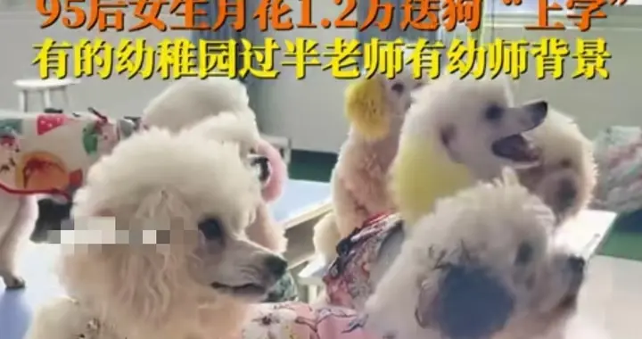 每月花12000元送狗狗上幼稚园，戳中了谁的生存焦虑？