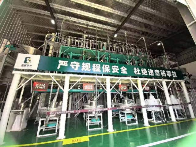 科技赋能沙澧粮仓：漯河面粉厂“碧野面粉”携手科研，领跑新赛道