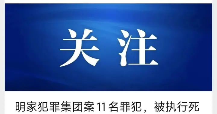 法网恢恢 罪不容诛——明家犯罪集团11名主犯伏法记