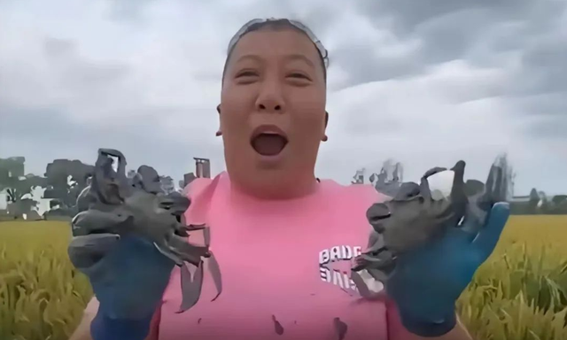 东北雨姐的园区到底有多可怕，人前憨厚人后黑大姐，网红水有多深