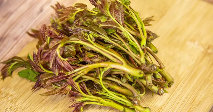 香椿立大功？研究发现：香椿可在40小时内清除体内40%有害菌群？