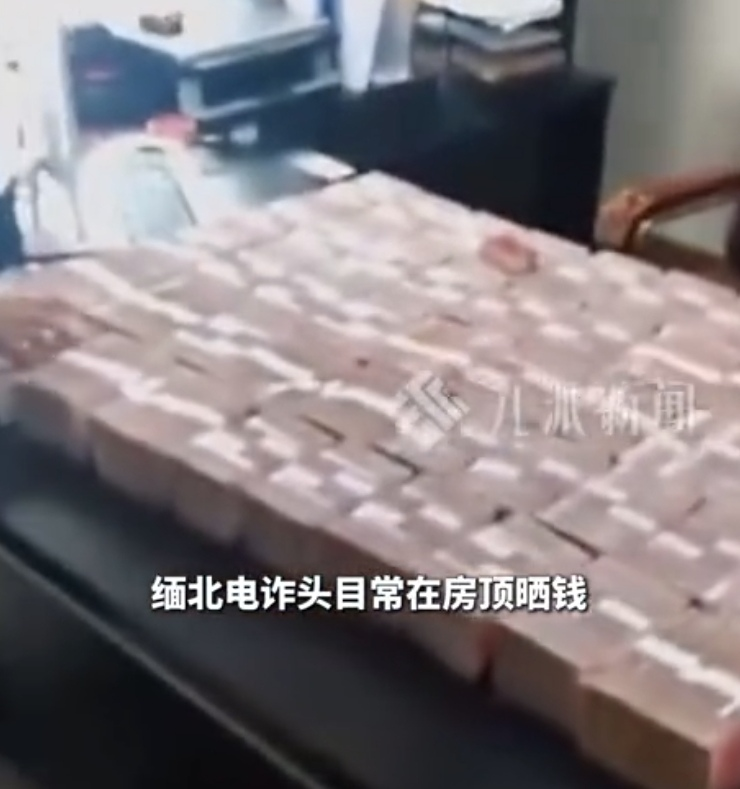 一男子是缅北诈骗头子。他钱多的长霉斑，只能在房顶晒。他雇人看库房，库房...