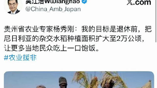 图书管理员PKU：老美在往中东扔炸弹，老