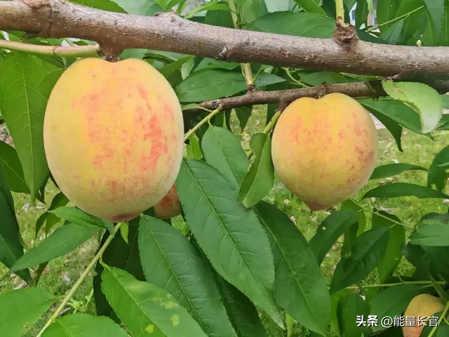 没有节奏感的人，都是“丢掉”了自己的人！（深度）