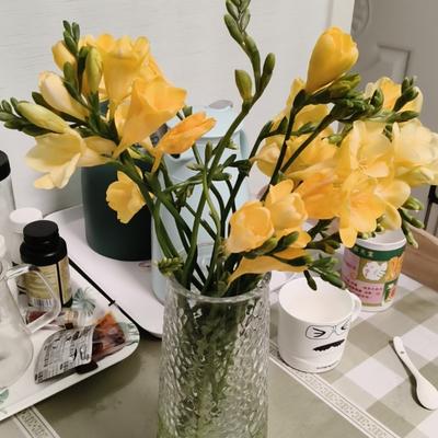 想去看最美的风景wsg：是仁将，不是仁人