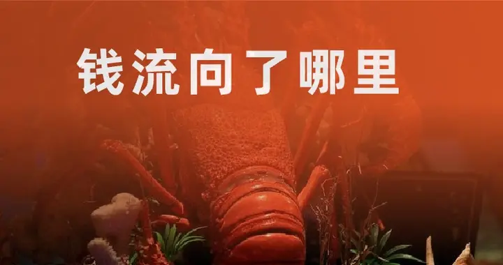 龙虾热里，谁赚到了钱