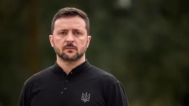 愉悦的书写吧：关于泽连斯基，网上的争议一