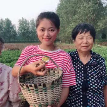 淡定白云ni7：这是近期引发热议的乡村创