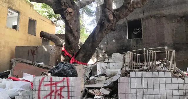 阿姨独吞280万拆迁款