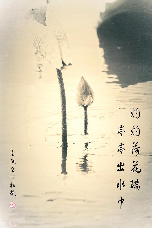 帛书《道德经》第十六章：致虚极，守静笃
