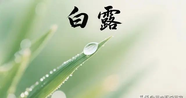 “上午白露，冻死老牛；下午白露，三九脱袄”，今年白露在几点？