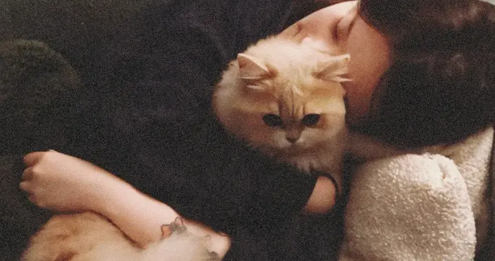 永远都别拯救你的伴侣，谁痛苦谁改变